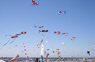 kites